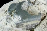 Aquamarine Crystal in Albite Crystal Matrix - Pakistan #111360-2